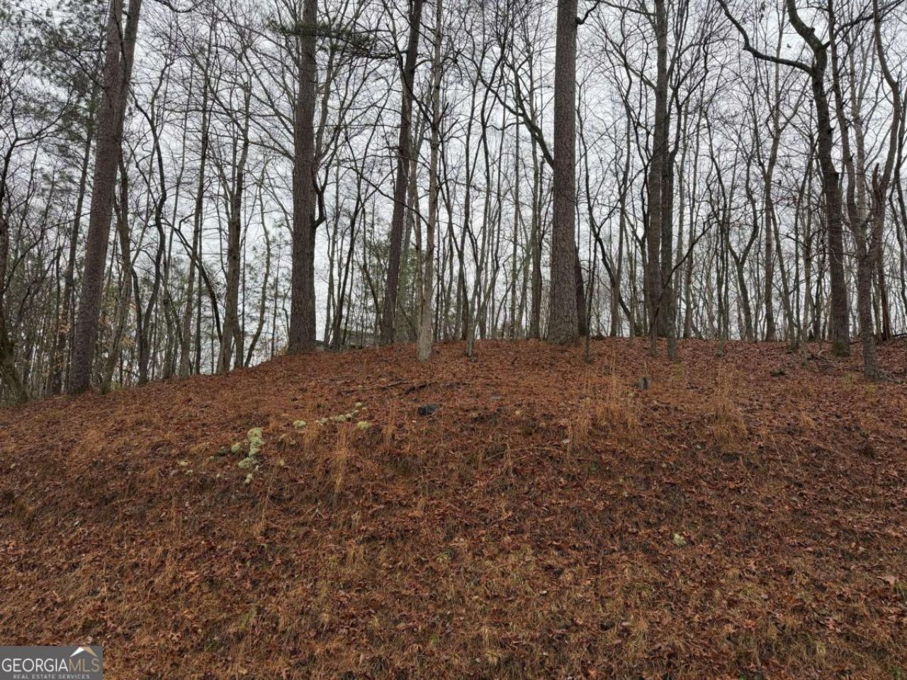 Lot 452 Joliet Drive, Ellijay, GA 30540 Main Photo