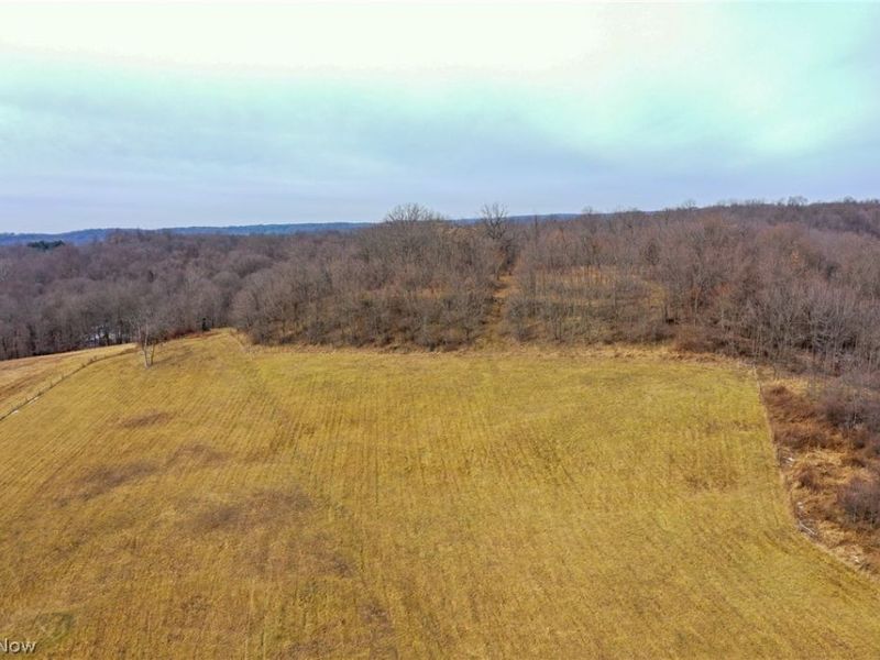 1325 County Line Rd, Hopewell, OH 43760 Photo 45