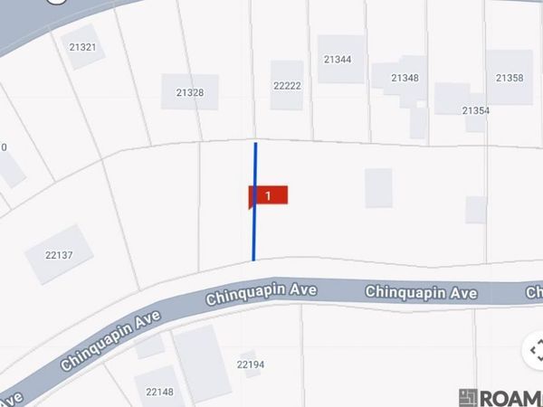 22222 Chinquapin Ave, Maurepas, LA 70449