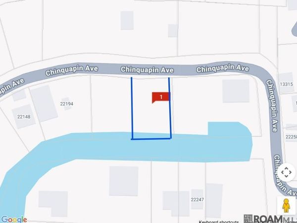 22222 Chinquapin Ave, Maurepas, LA 70449