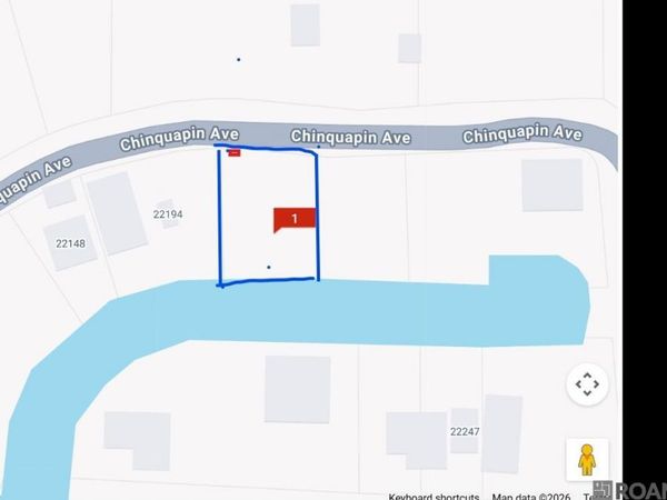 22222 Chinquapin Ave, Maurepas, LA 70449