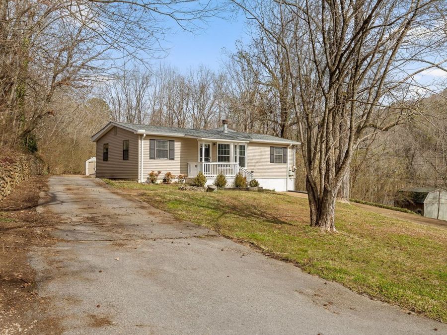 Property Image 41