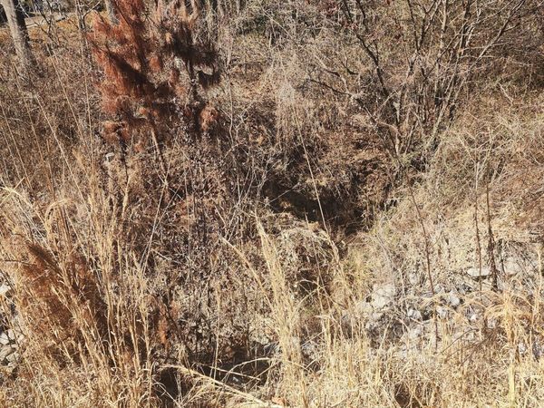 900 Gainesville Highway, Buford, GA 30518