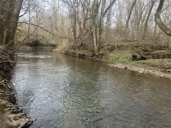 6 Southport RD , Mount Pleasant, TN 38474