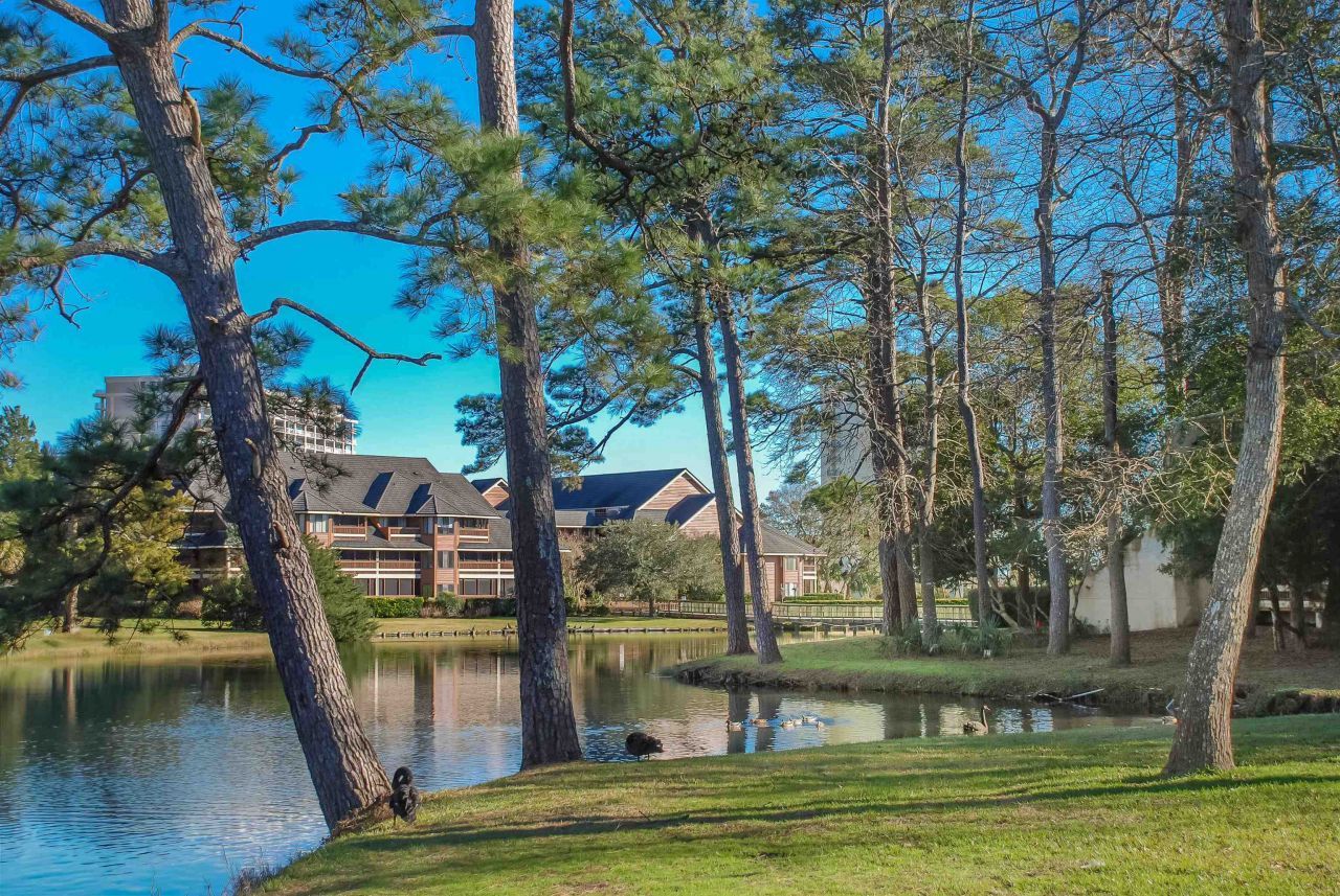 410 Melrose Pl.  Photo 41