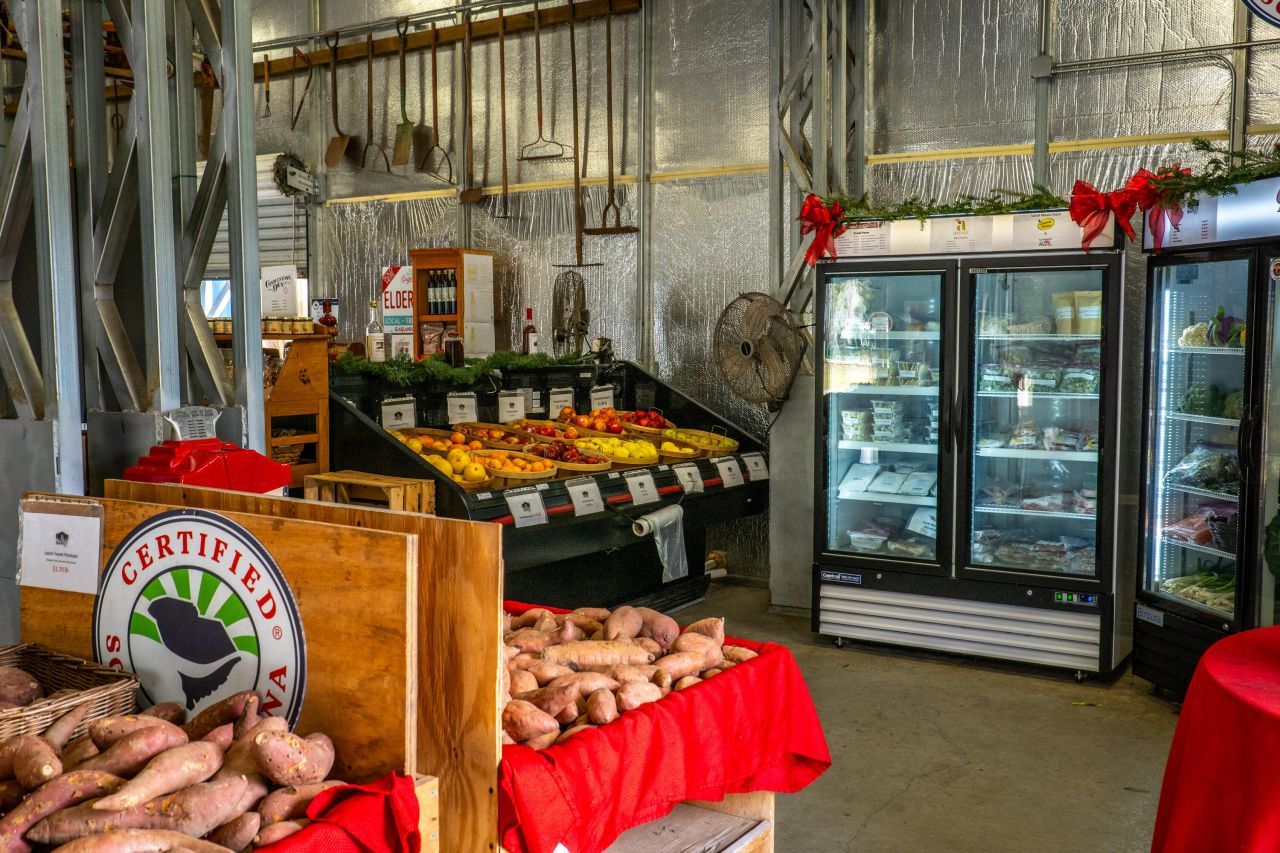 412 Caledon Court Photo 49