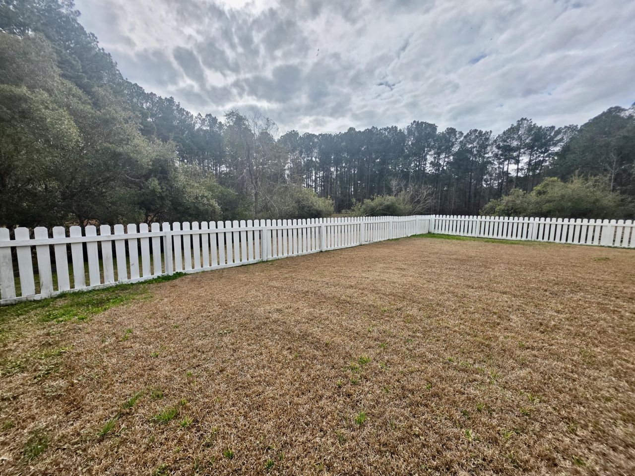 103 Brightwood Drive Photo 29