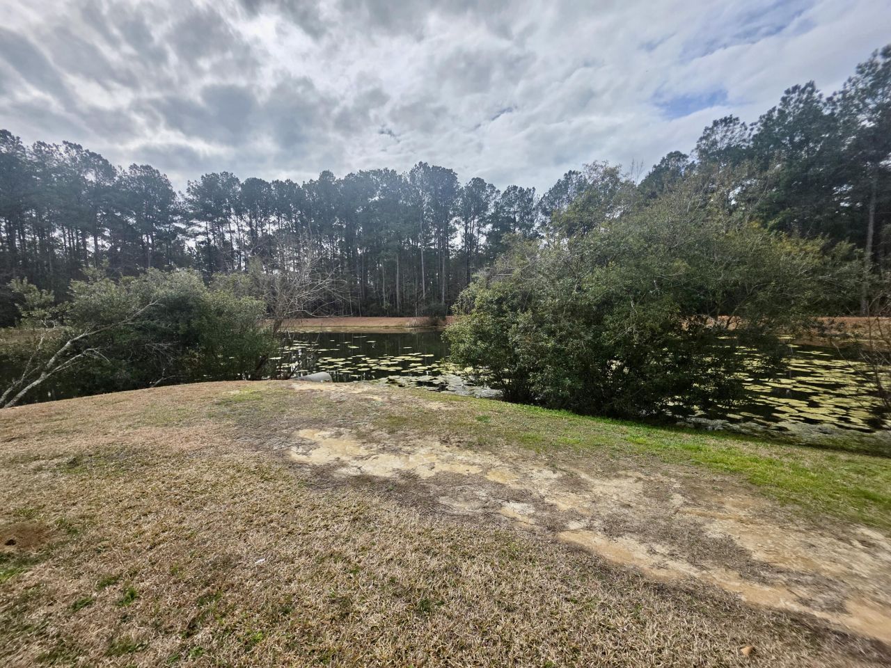 103 Brightwood Drive Photo 35