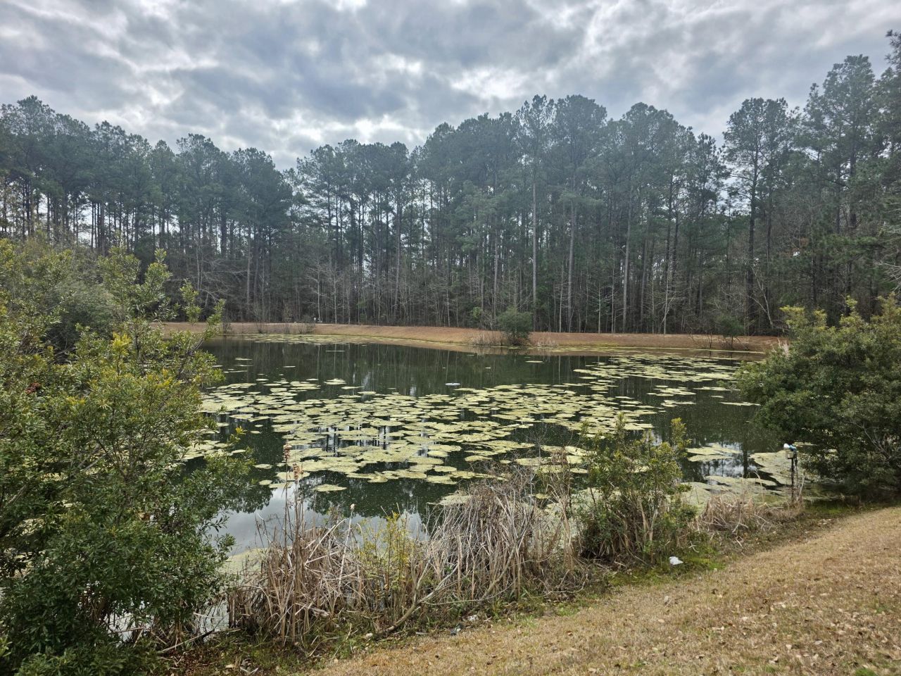 103 Brightwood Drive Photo 37