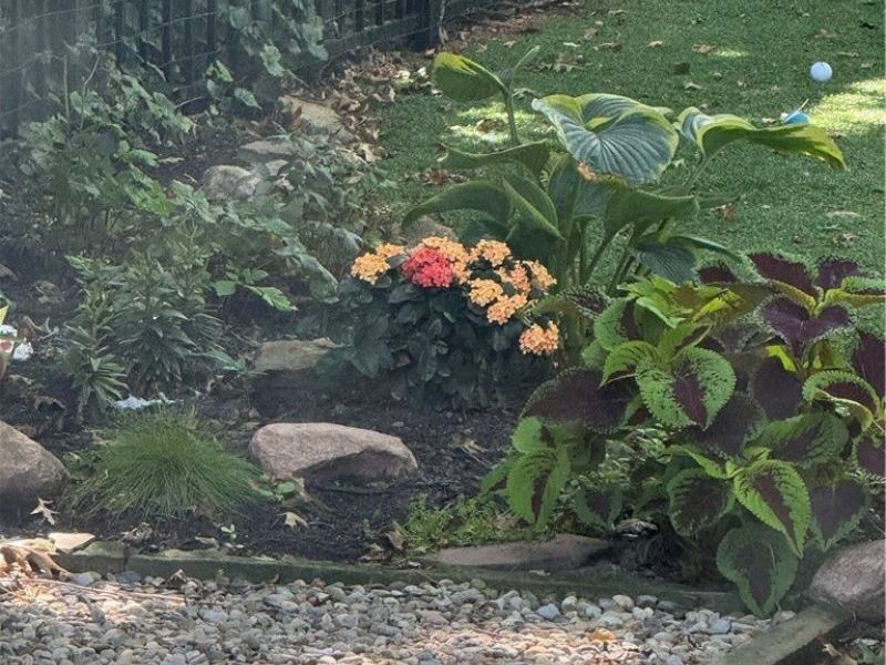 24011 Bruce Road, Bay Village, OH 44140 Photo 33