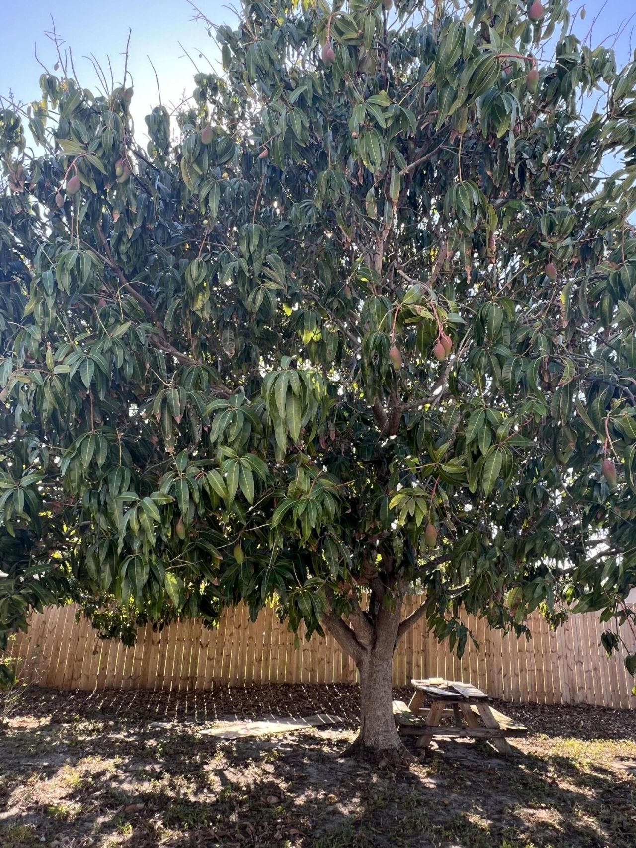 4611 NE 15th Avenue, Pompano Beach, FL 33064 Photo