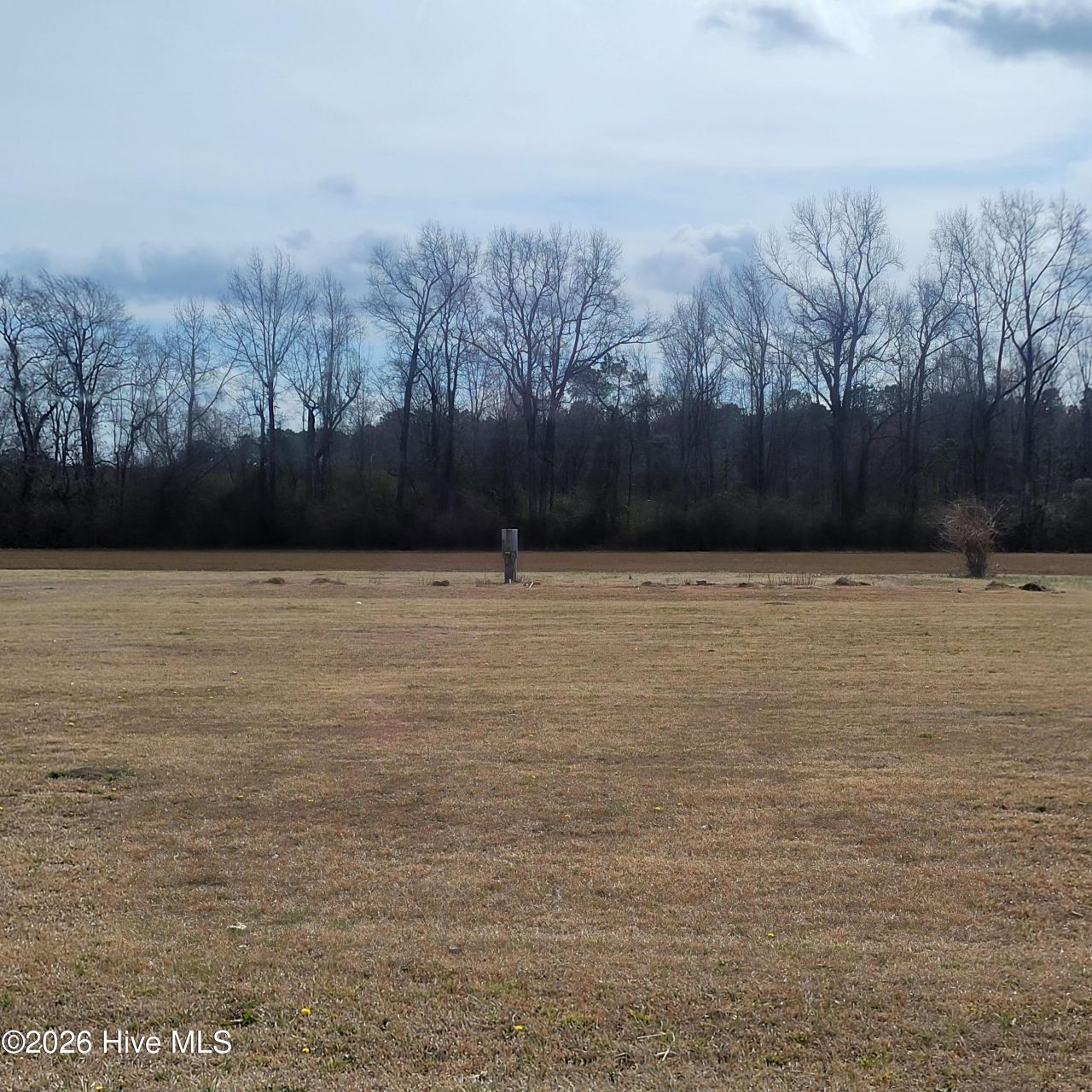 10688 Point Caswell Road, Willard, NC 28478 Main Photo