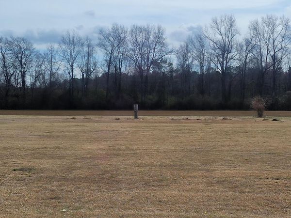 10688 Point Caswell Road, Willard, NC 28478