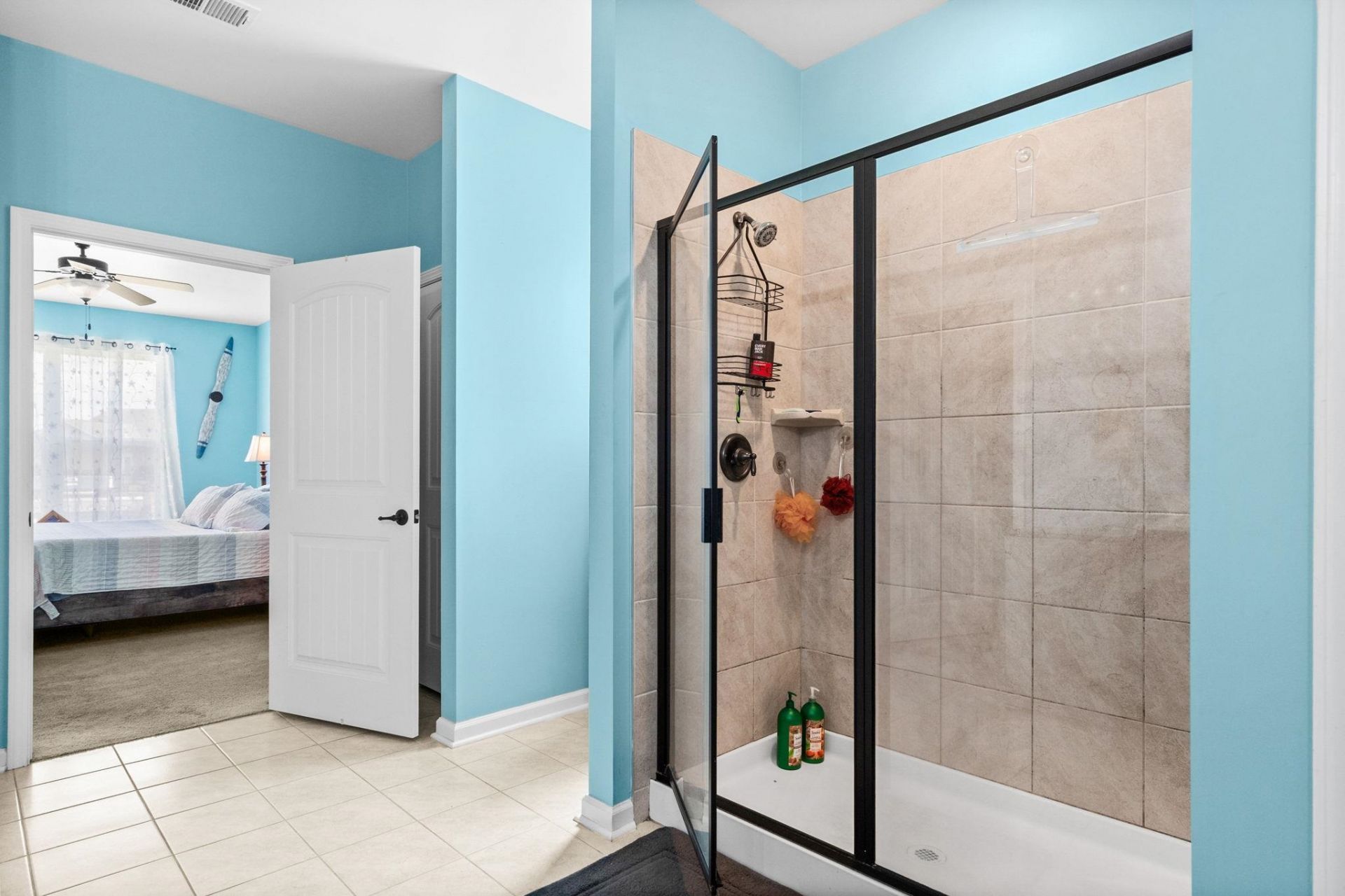 1076 Caprisia Loop Photo 42