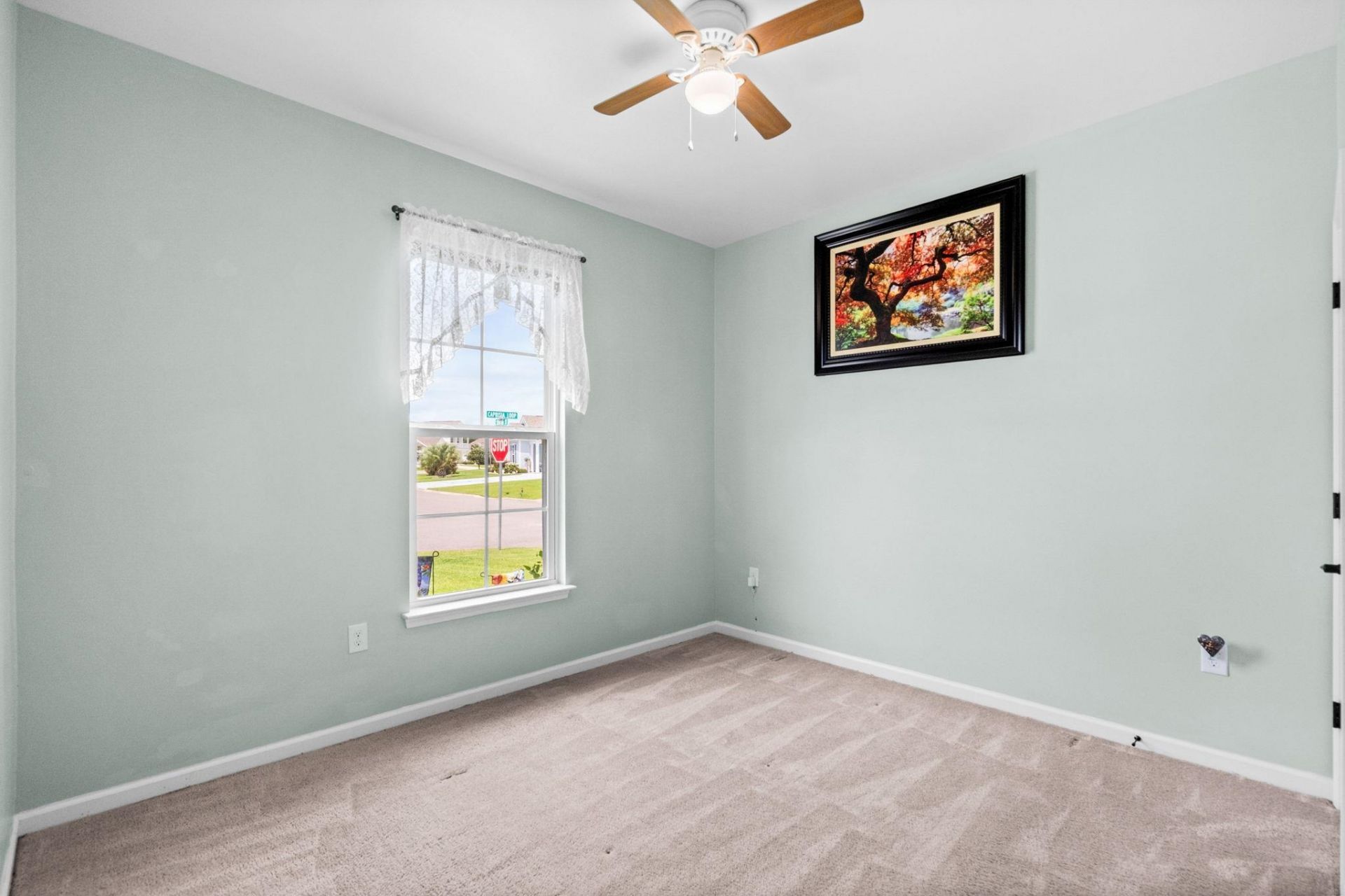 1076 Caprisia Loop Photo 48