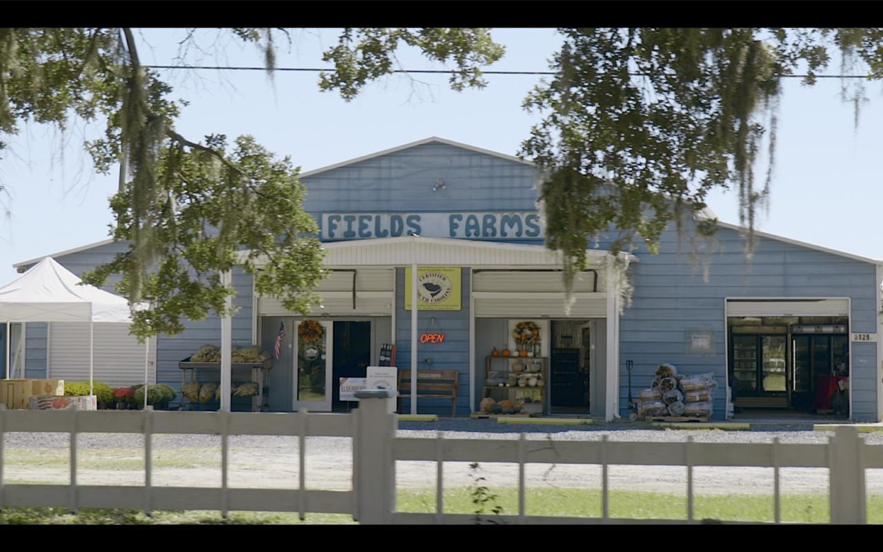 414 Caledon Court Photo 47