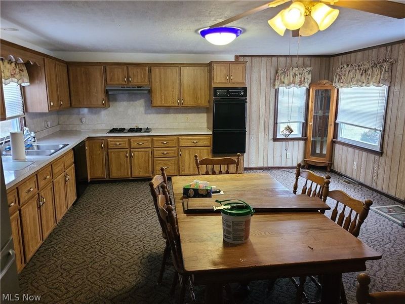 1031 Camden Avenue SW, Canton, OH 44706 Photo 3