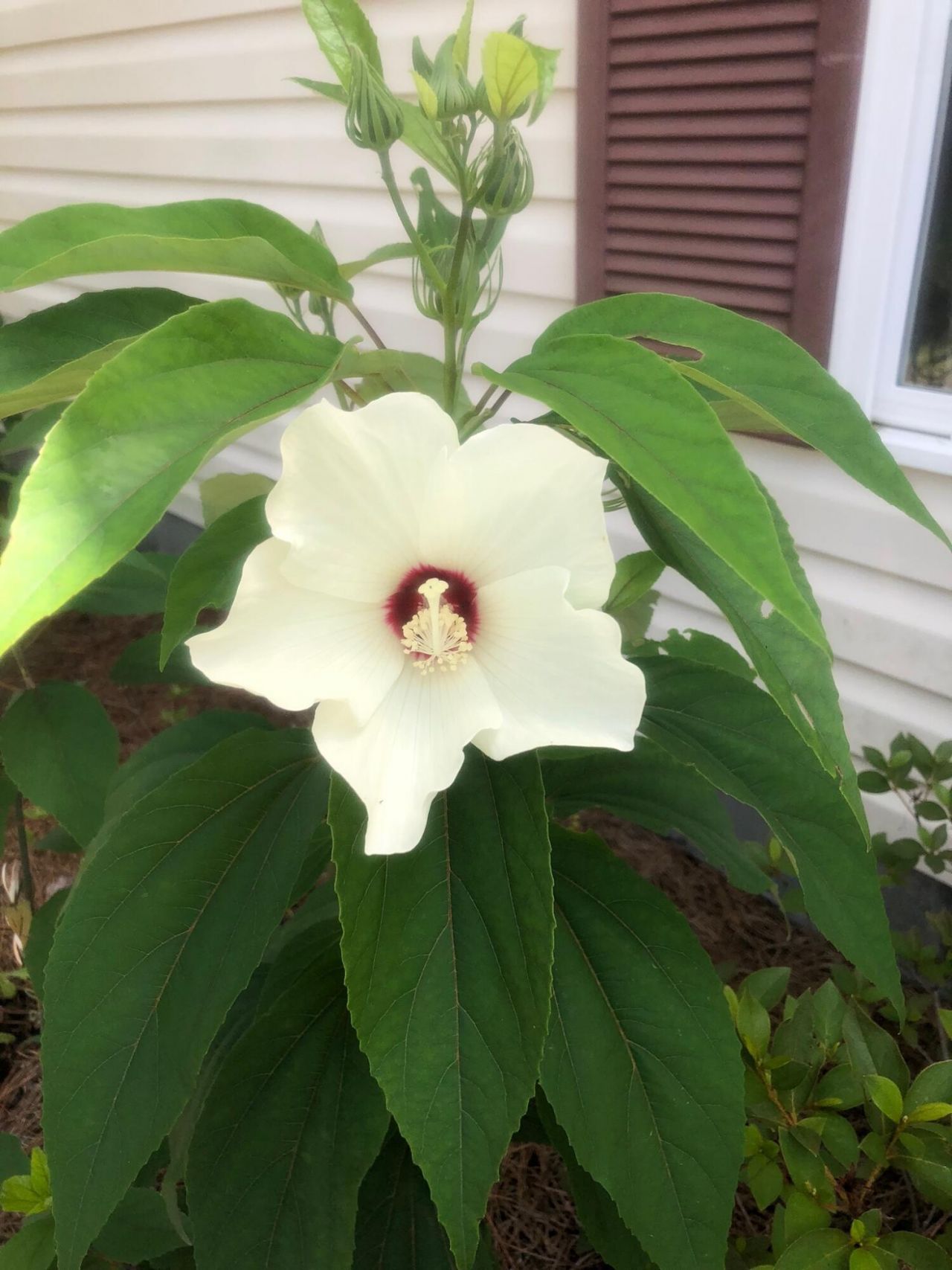 3348 Island Estates Drive Photo 33