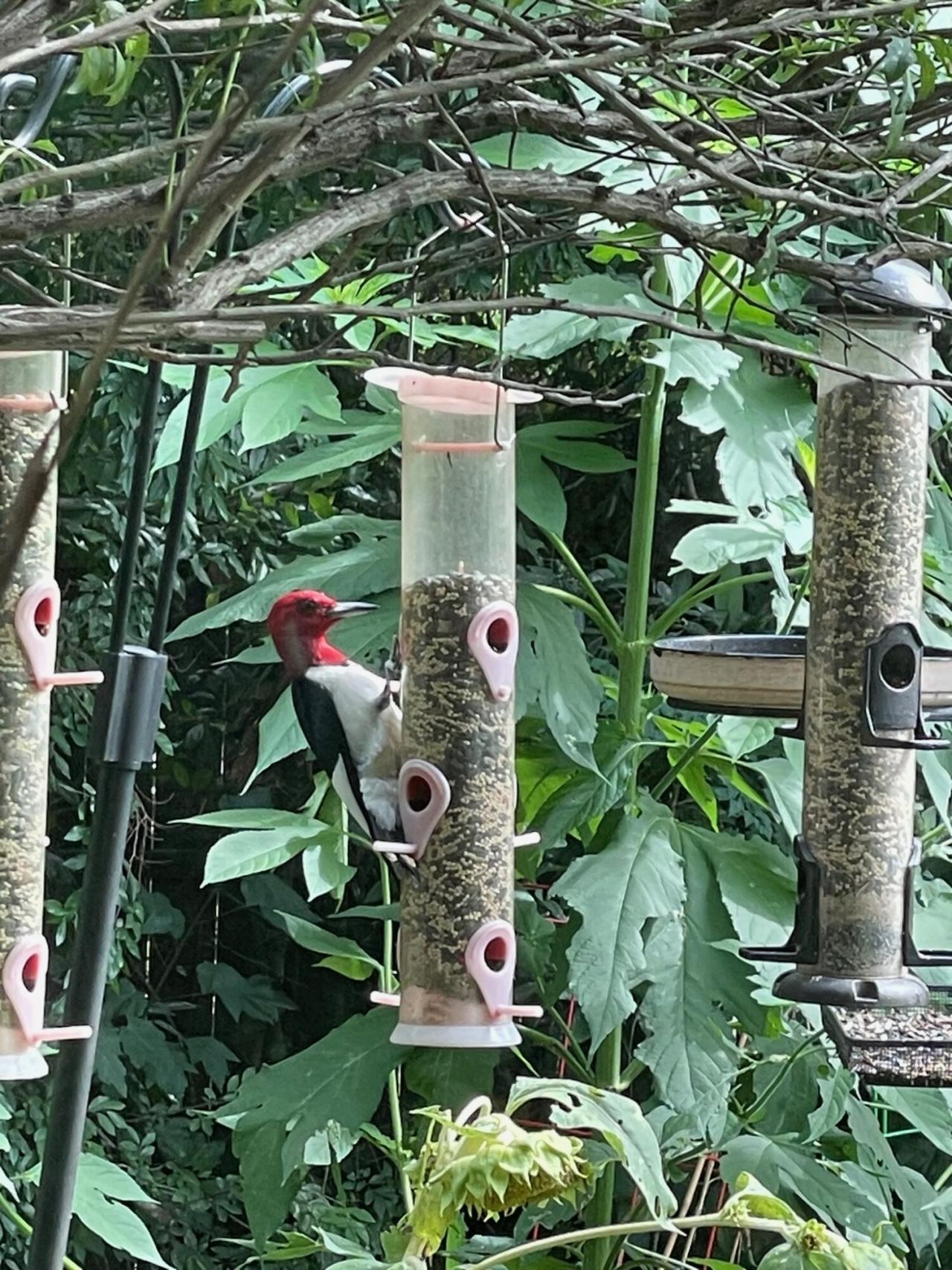 3348 Island Estates Drive Photo 33