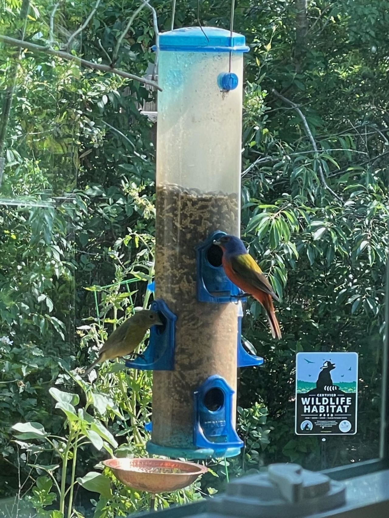 3348 Island Estates Drive Photo 34