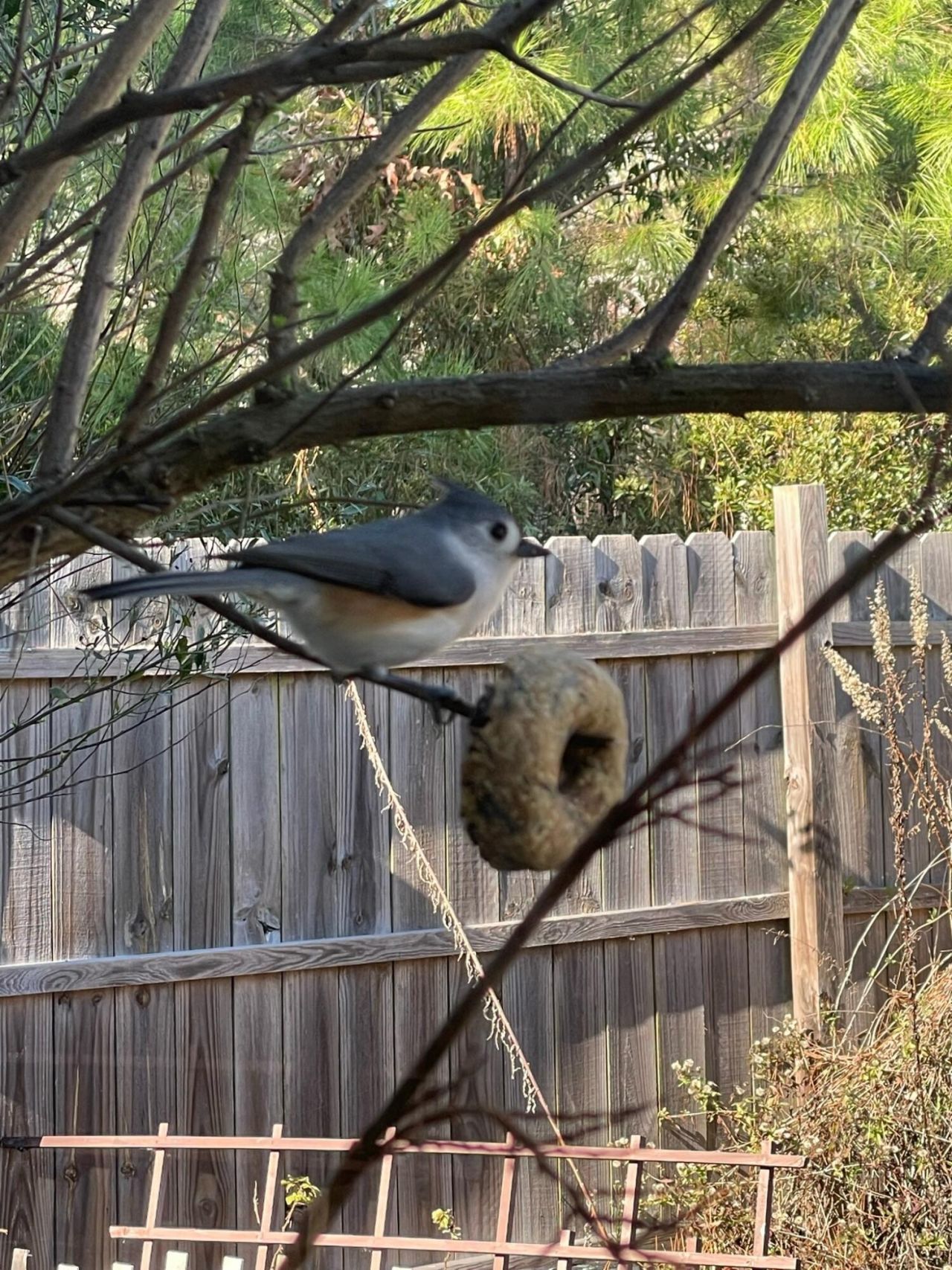 3348 Island Estates Drive Photo 35