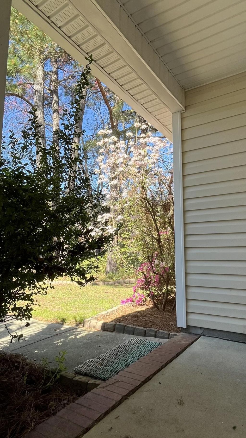 3348 Island Estates Drive Photo 8