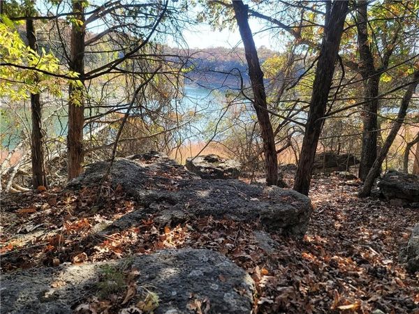 TBD Pilots Cove Lane, Yellville, AR 72687