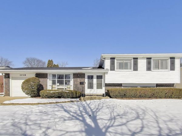 1018 W Alexandria Street, Arlington Heights, IL 60004
