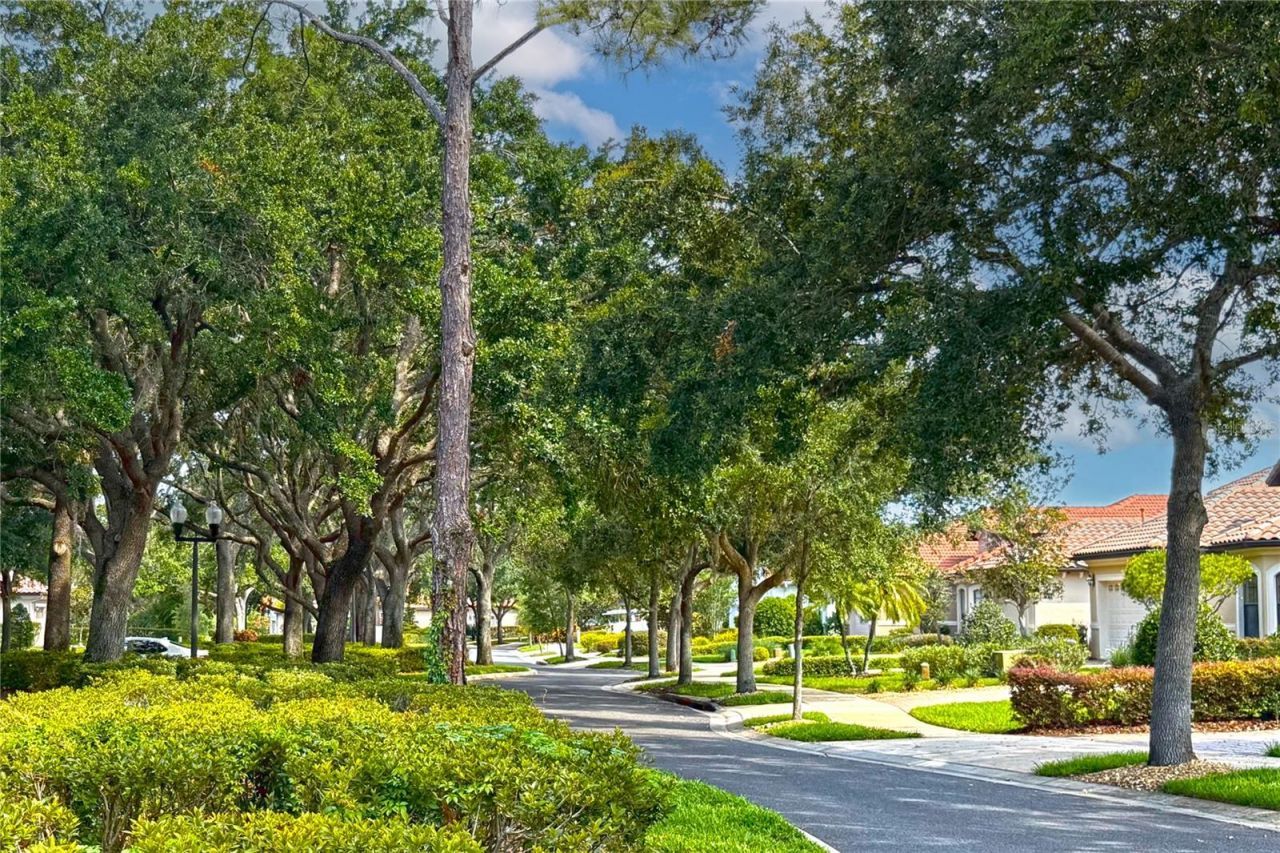 9220 San Jose Boulevard, Howey in the Hills, FL 34737 Photo