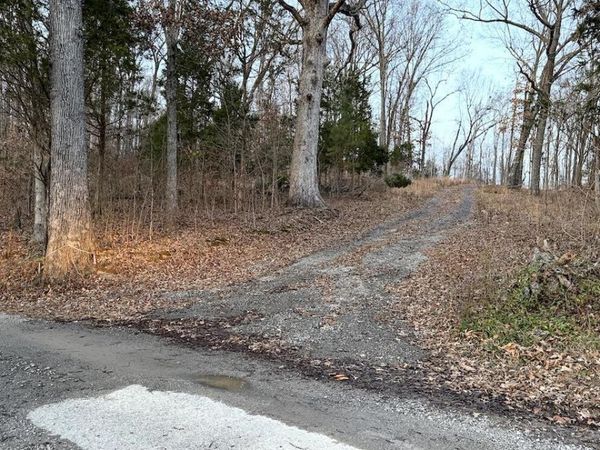 0 Hornback Lane , Caneyville, KY 42721