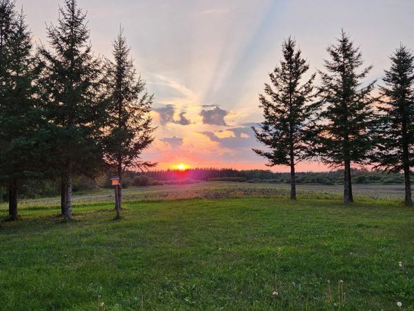 9453 Alango Road, Angora, MN 55703