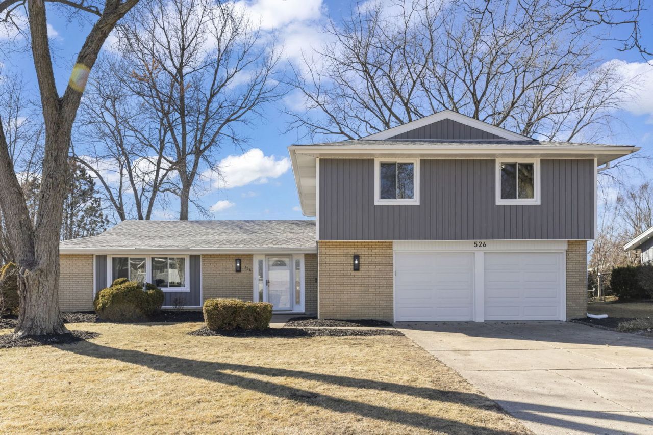 526 S Springinsguth Road, Schaumburg, IL 60193 Main Photo
