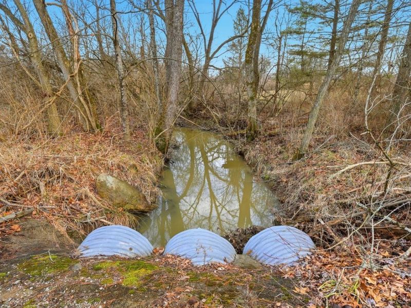 4365 Snowhill Road, Fayetteville, OH 45118 Photo 25