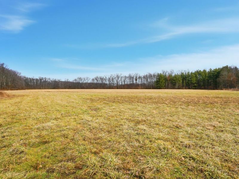 4365 Snowhill Road, Fayetteville, OH 45118 Photo 28