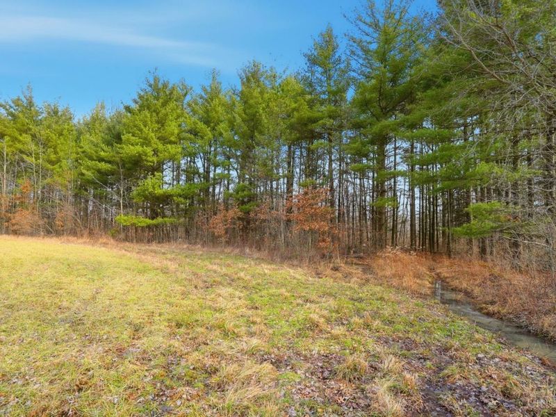 4365 Snowhill Road, Fayetteville, OH 45118 Photo 30