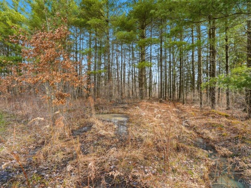 4365 Snowhill Road, Fayetteville, OH 45118 Photo 31