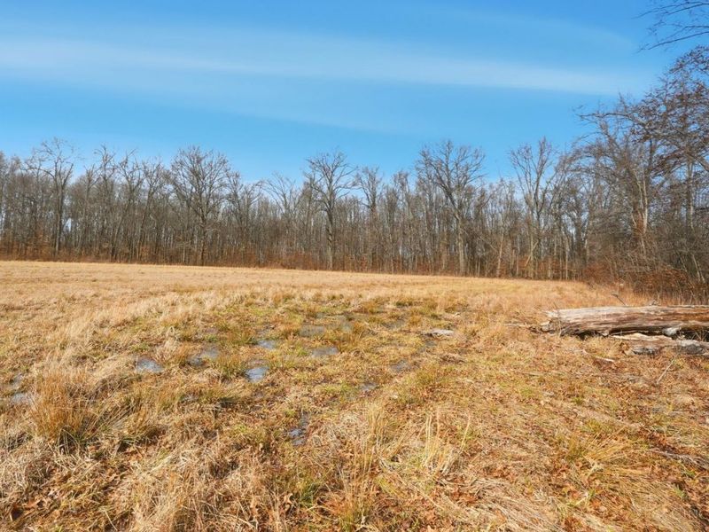 4365 Snowhill Road, Fayetteville, OH 45118 Photo 35