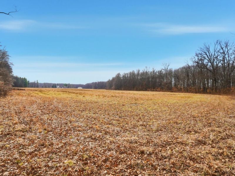 4365 Snowhill Road, Fayetteville, OH 45118 Photo 36