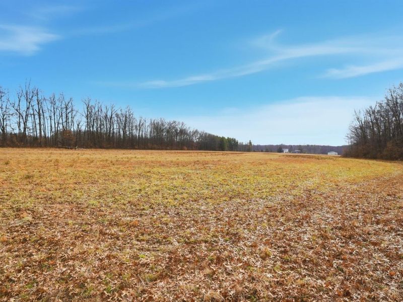 4365 Snowhill Road, Fayetteville, OH 45118 Photo 38