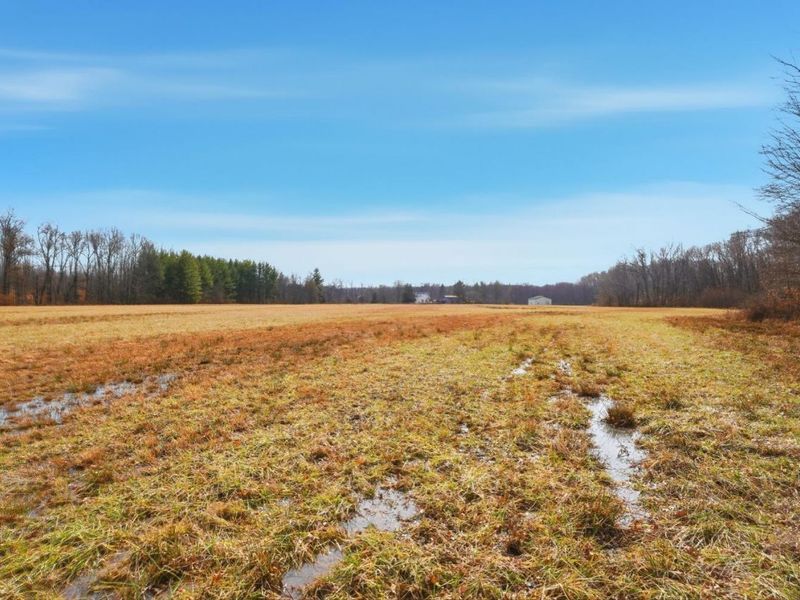 4365 Snowhill Road, Fayetteville, OH 45118 Photo 41