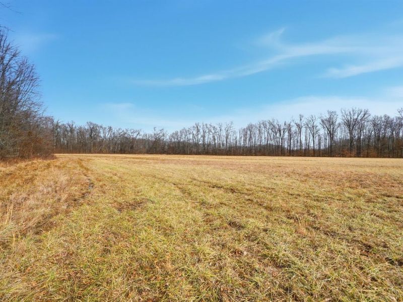 4365 Snowhill Road, Fayetteville, OH 45118 Photo 42