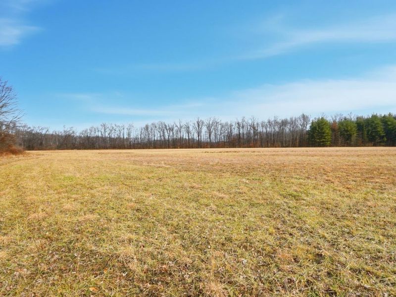 4365 Snowhill Road, Fayetteville, OH 45118 Photo 43