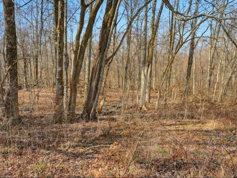 4365 Snowhill Road, Fayetteville, OH 45118 Photo 45