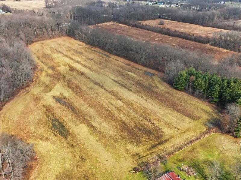 4365 Snowhill Road, Fayetteville, OH 45118 Photo 6