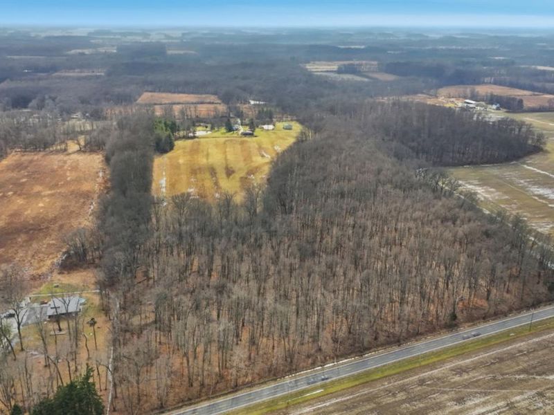 4365 Snowhill Road, Fayetteville, OH 45118 Photo 7