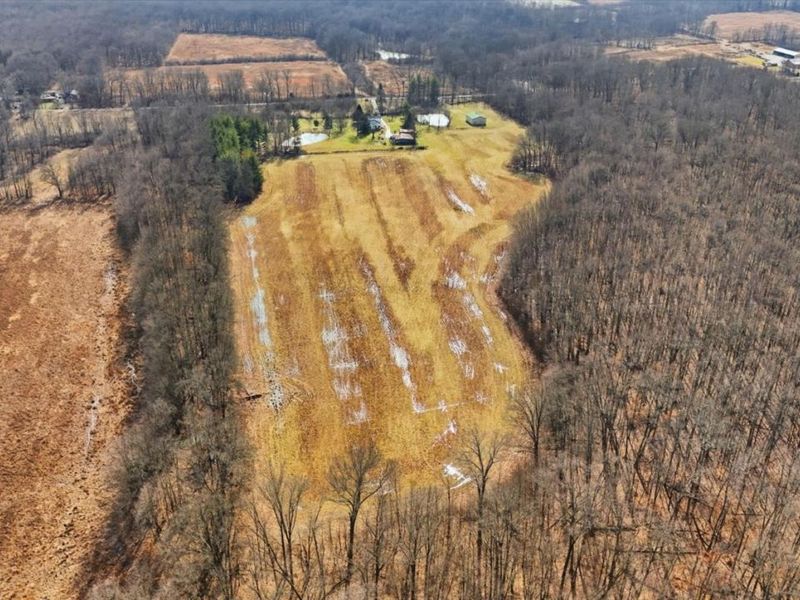 4365 Snowhill Road, Fayetteville, OH 45118 Photo 8