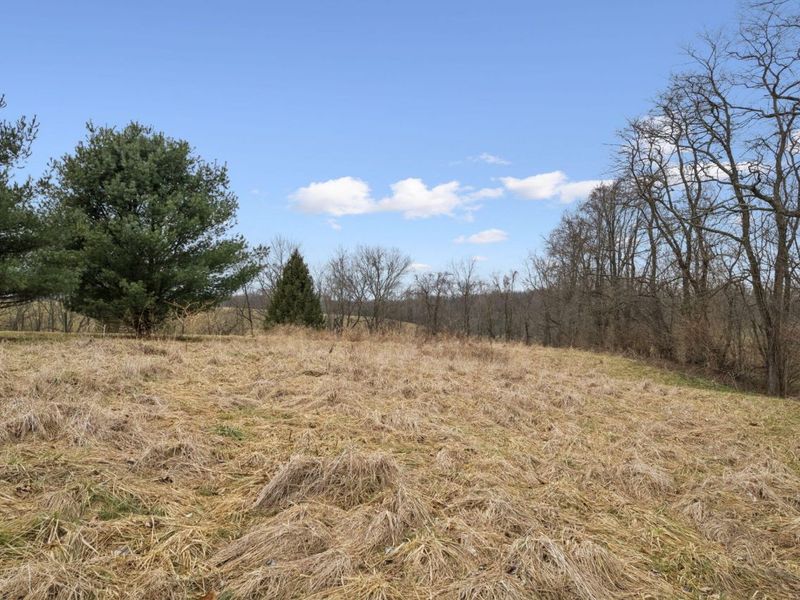 1252 Dutch Ridge Road, Augusta, KY 41002 Photo 28