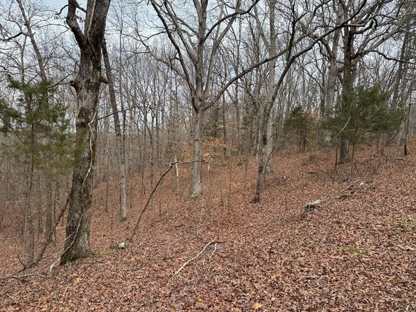 613 Williams Grove Rd, Camden, TN 38320
