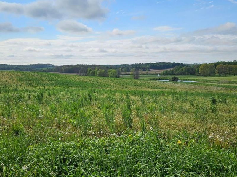 0 Divelbiss Road , Fredericktown, OH 43019 Photo 3