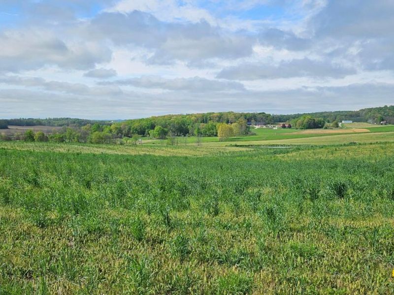 0 Divelbiss Road , Fredericktown, OH 43019 Photo 2